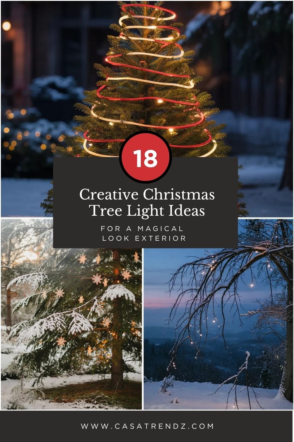 18 Creative Christmas Tree Light Ideas for a Magical Look Exterior