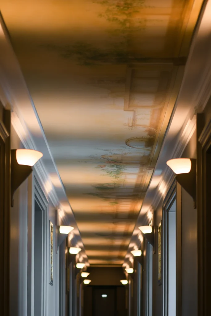 Creative Ceiling Treatments