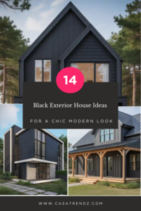 Black Exterior House Ideas