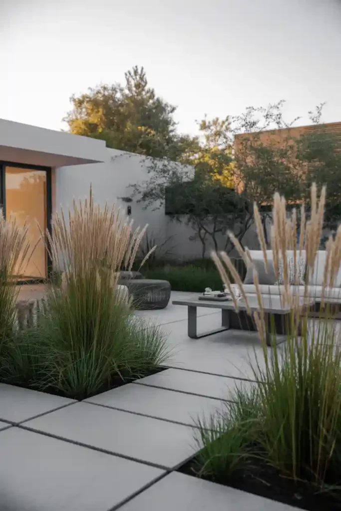 Ornamental Grasses for Texture