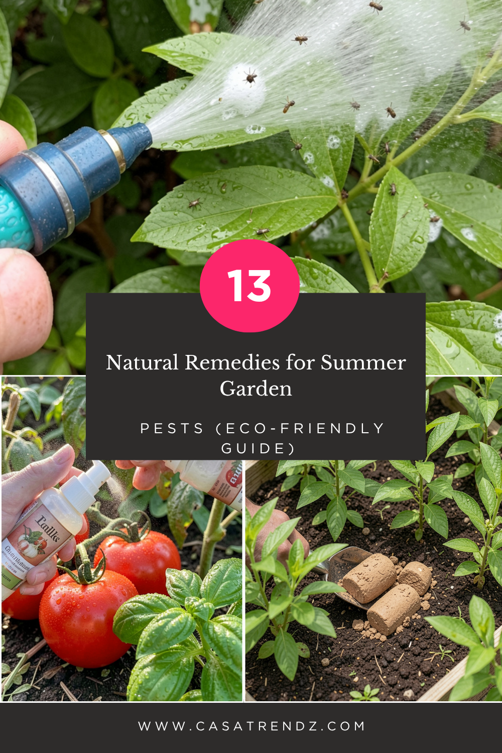 13 Natural Remedies for Summer Garden