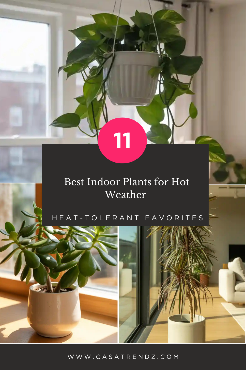_Best Indoor Plants for Hot Weather