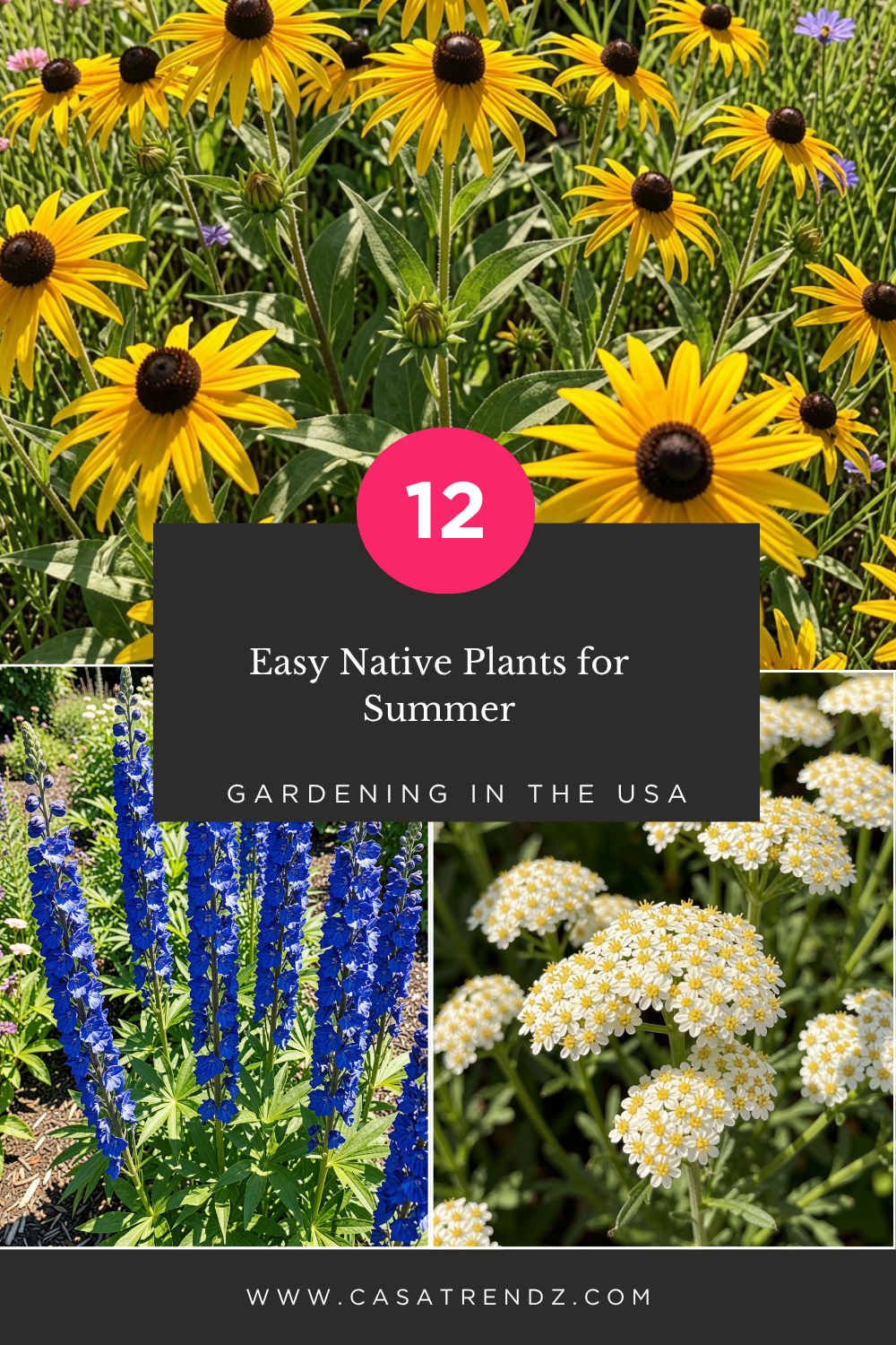 Easy Native Plants for Summer