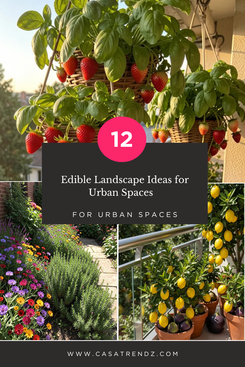Edible Landscape Ideas for Urban Spaces