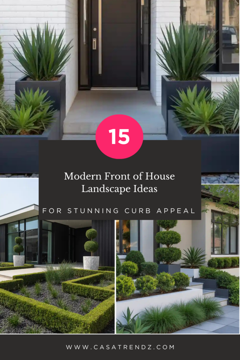 _Modern Front of House Landscape Ideas