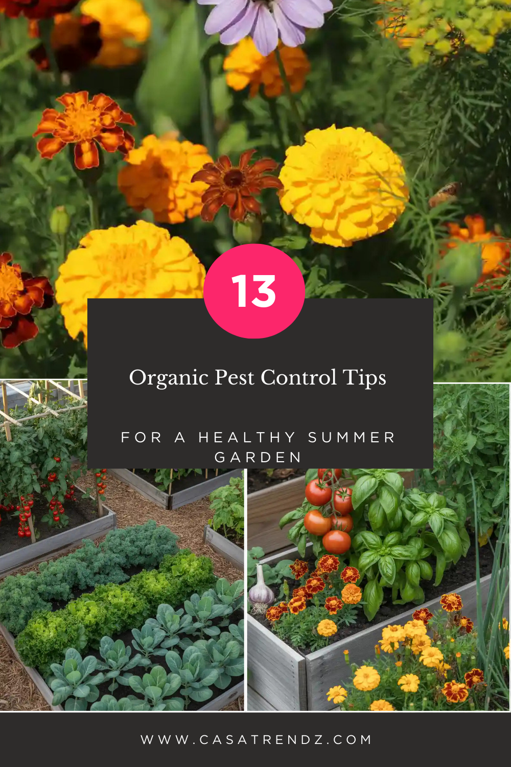 Organic Pest Control Tips