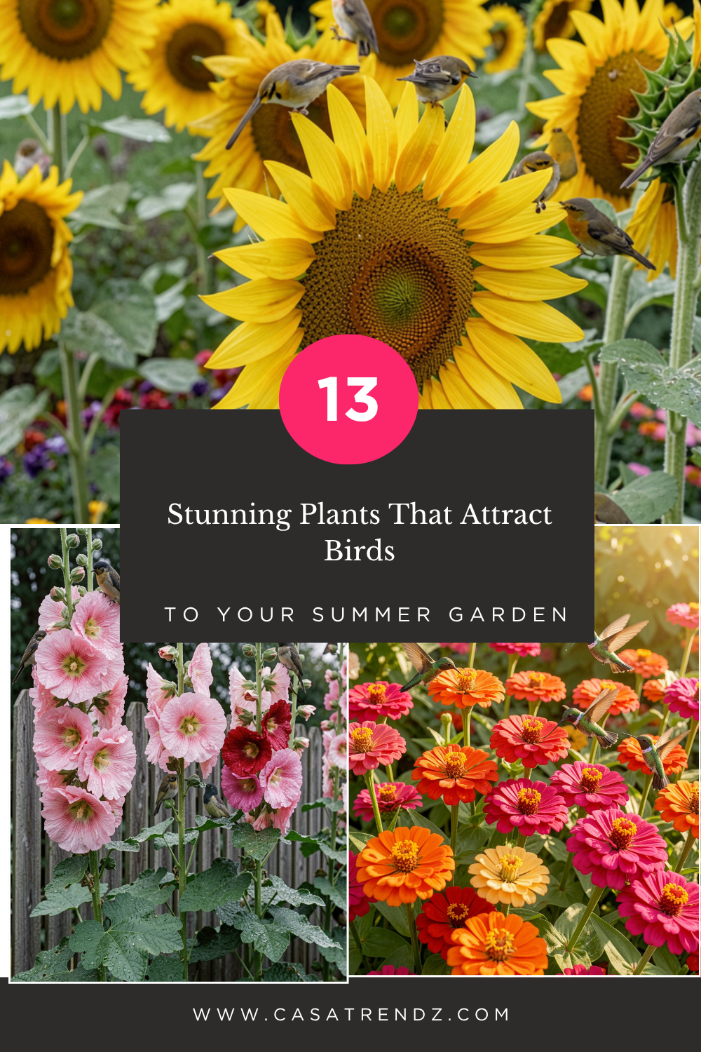 _Stunning Plants That Attract Birds