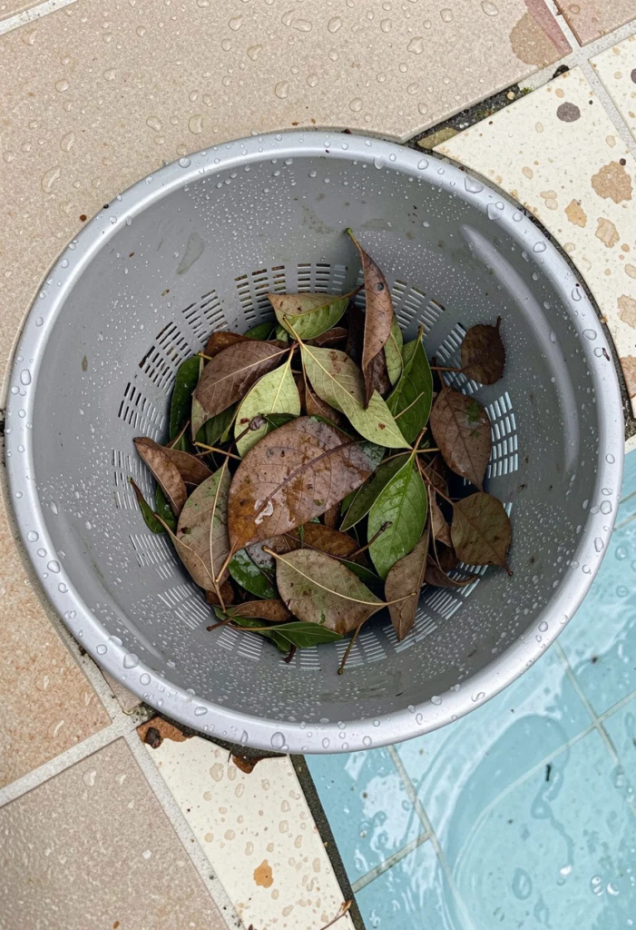 Clean Skimmer and Pump Baskets